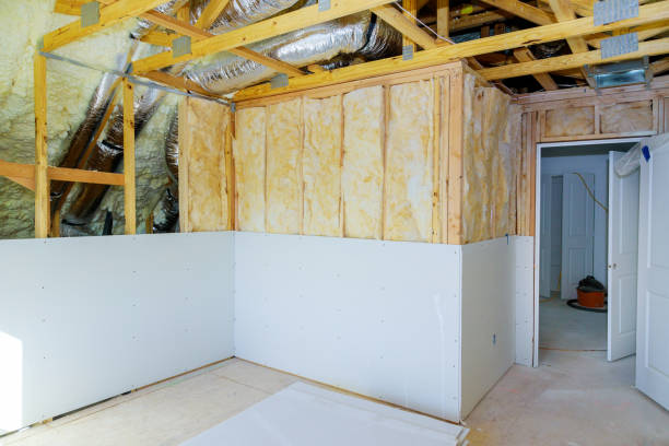 Best Eco-Friendly Insulation in Riverside, MO