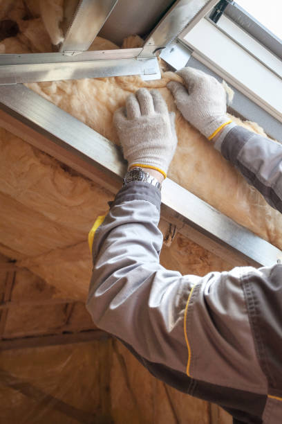 Best Eco-Friendly Insulation in Riverside, MO