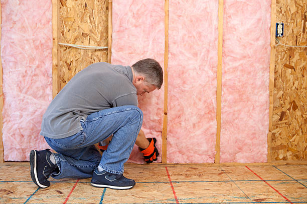Best Fiberglass Insulation in Riverside, MO