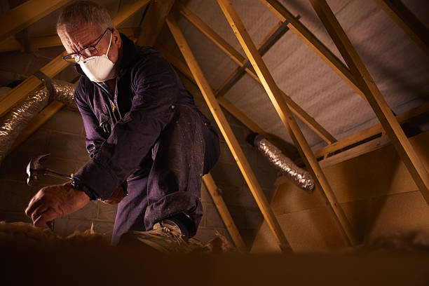 Best Specialized Insulation Services in Riverside, MO